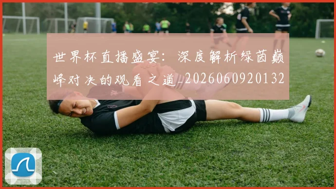 世界杯直播盛宴：深度解析绿茵巅峰对决的观看之道_20260609201325